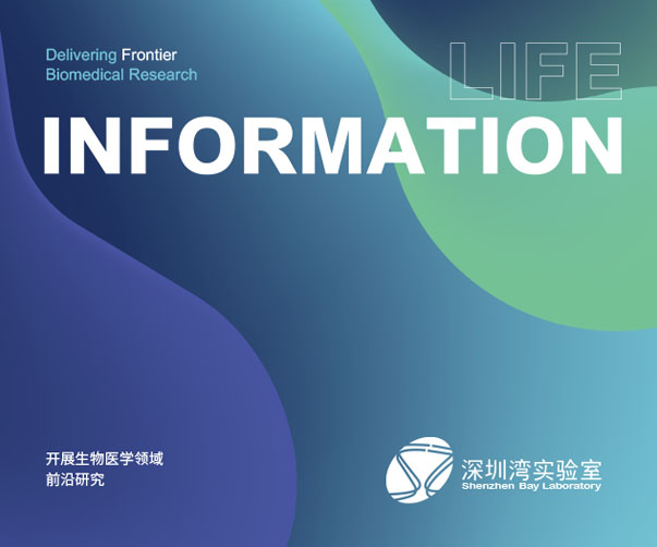 上海logo設計師的遠程協作之道：如何選擇合適的虛擬設計師